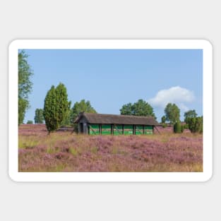 Apiary, Wilsede, nature reserve, Lüneburg Heath Sticker